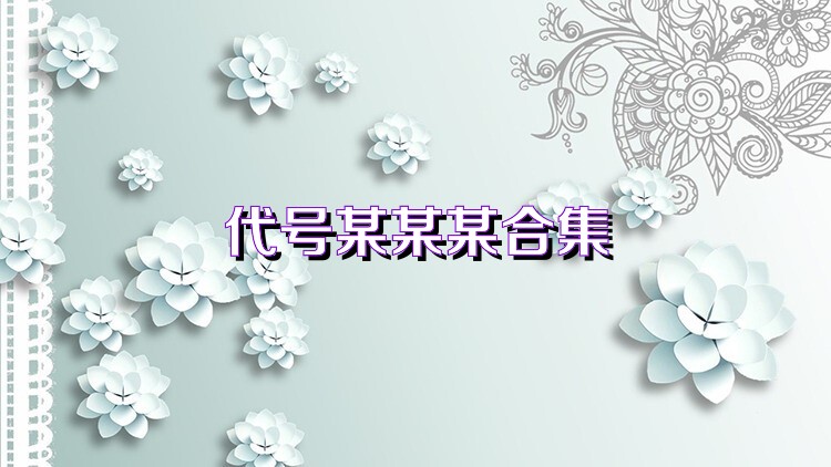 代号某某某合集