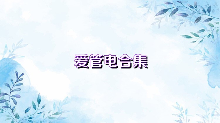 爱管电合集