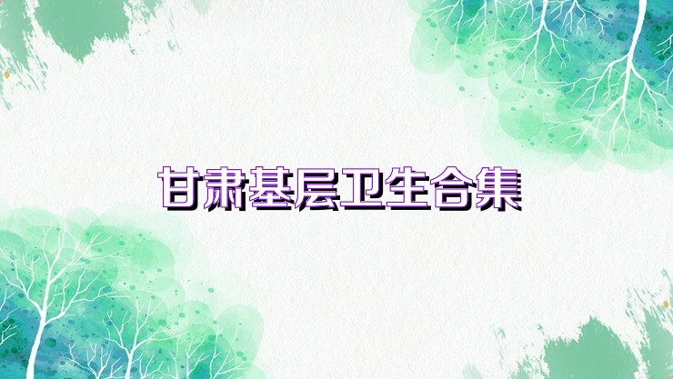 甘肃基层卫生合集