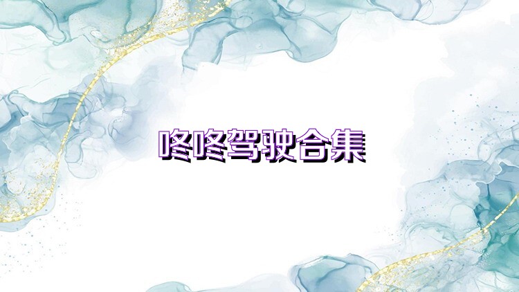 咚咚驾驶合集