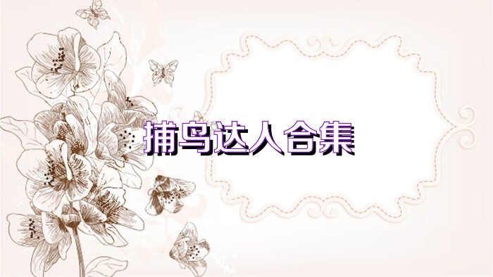 捕鸟达人合集