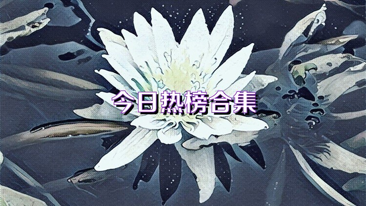 今日热榜合集