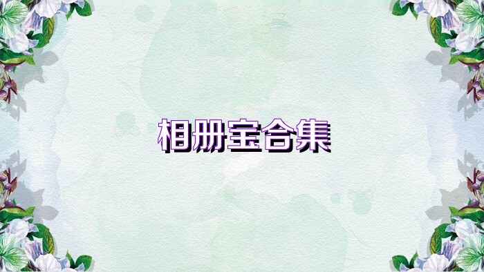 相册宝合集