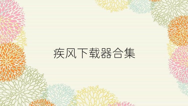 疾风下载器合集