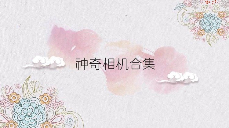 神奇相机合集