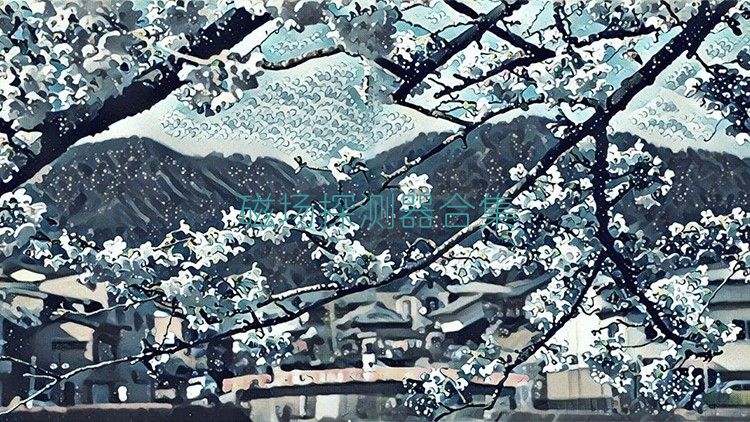 磁场探测器合集